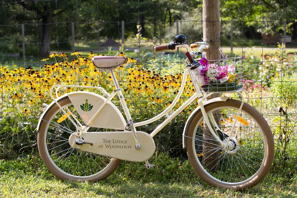 The Lodge At Woodloch Hawley Eksteriør bilde
