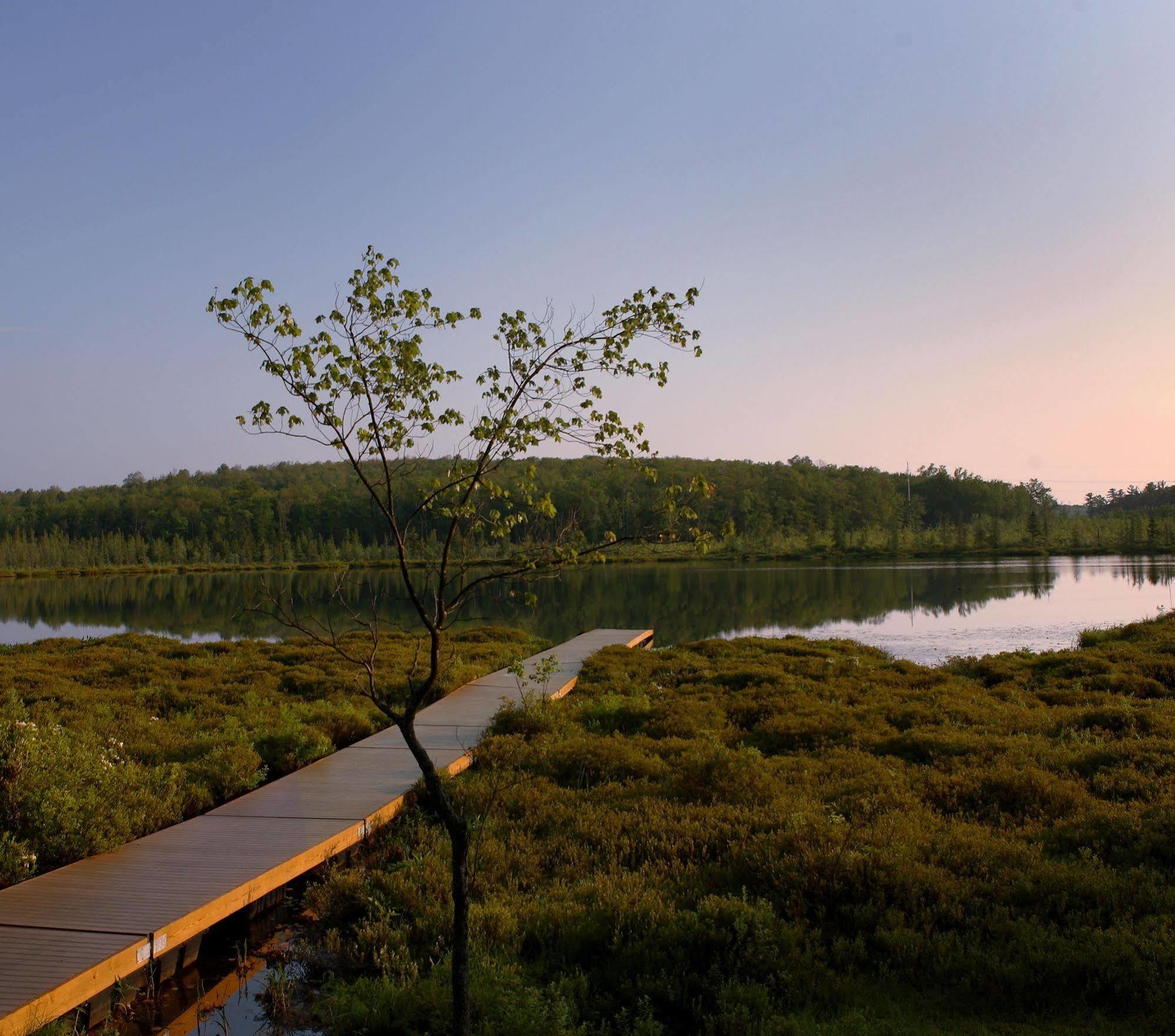The Lodge At Woodloch Hawley Eksteriør bilde